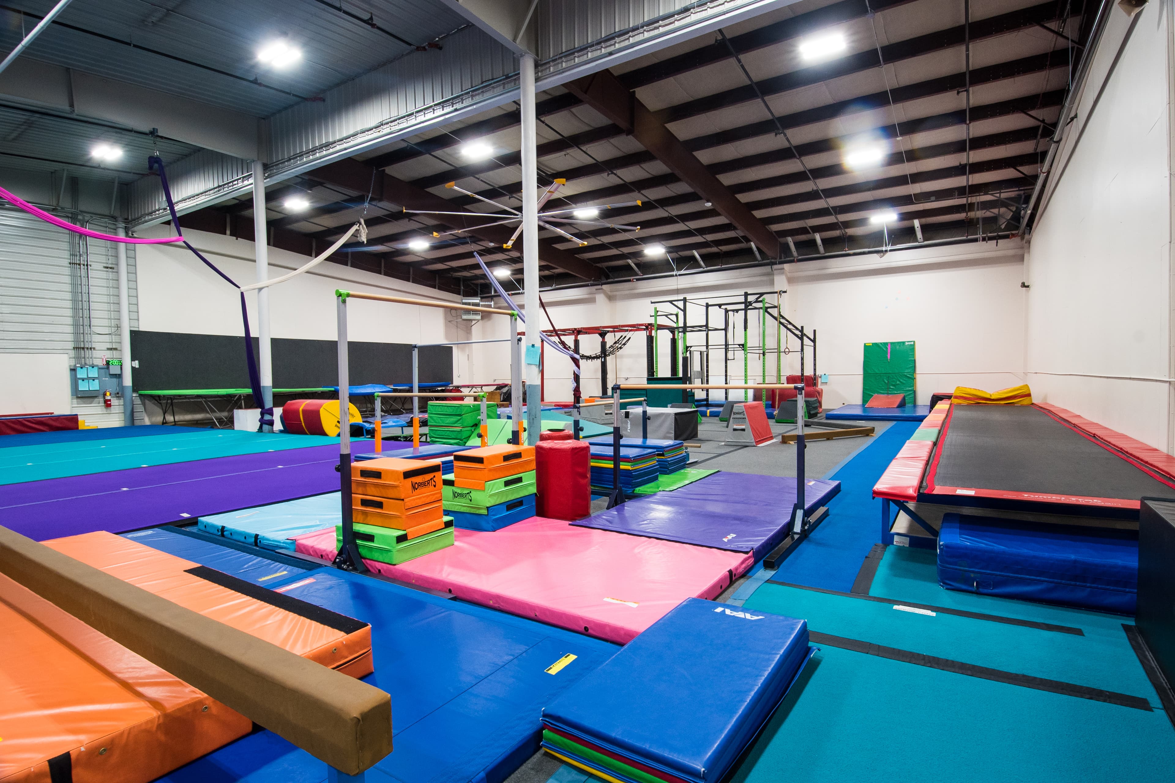Inside Flathead Gymnastics Academy, with beams, bars, trampolines, and training mats